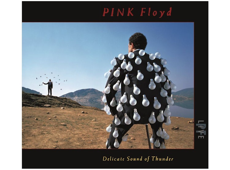 Ripley - PINK FLOYD - DELICATE SOUND OF THUNDER(2CD) CD